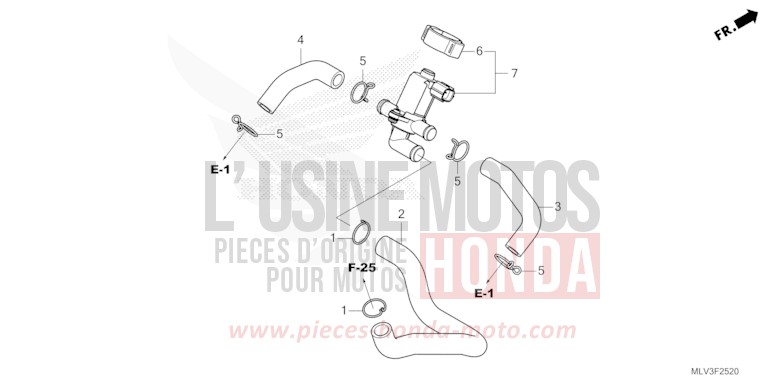 VALVE INJECTION D'AIR de CB1000F "Big One" WOLF SILVER METALLIC (NHD19D) 2026